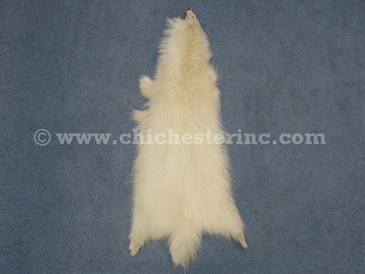 Finn Raccoon Skins or Pelts or Furs or Hides or Russian Raccoon or