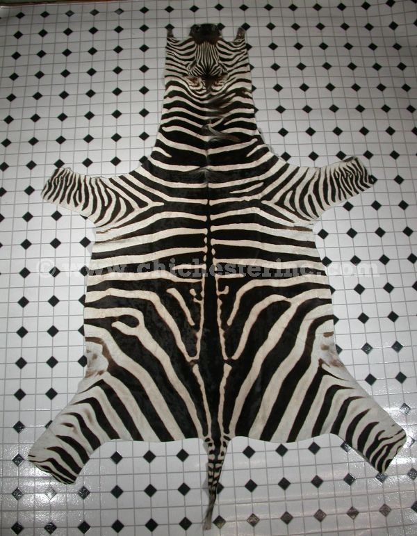 African Zebra Skins, Zebra Skins, Zebra Hides, Zebra Rugs