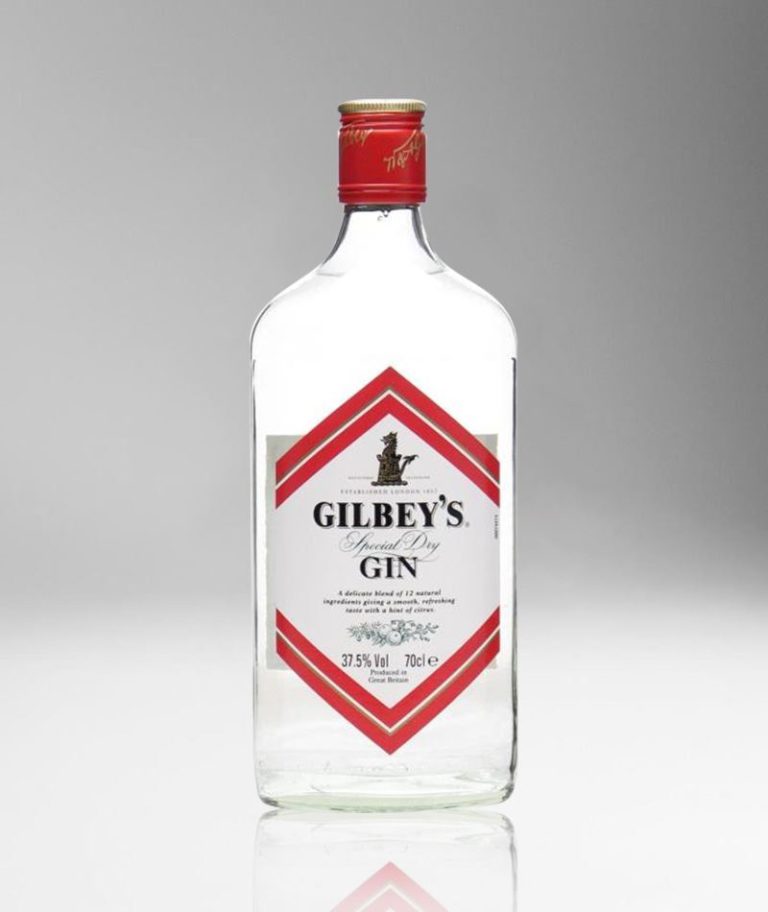 Gilbeys Gin & 5 Other Popular Gins Go HeadToHead • Chick About Town