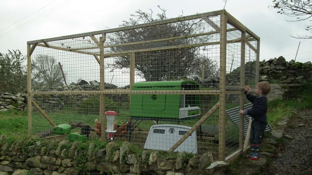 Fox Proof Chicken Run Poultry & Chicken Blog