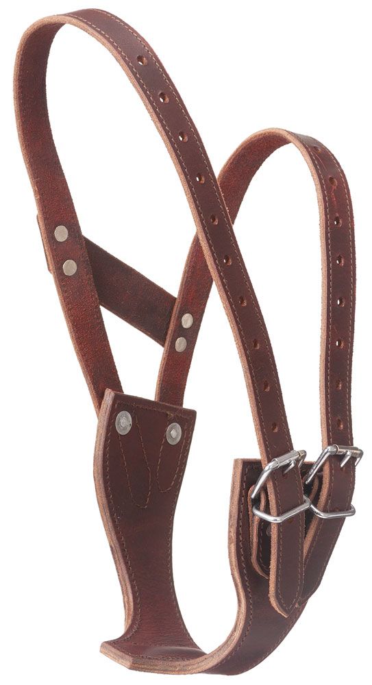 Saddles Tack Horse Supplies Horse Leather Comfort
