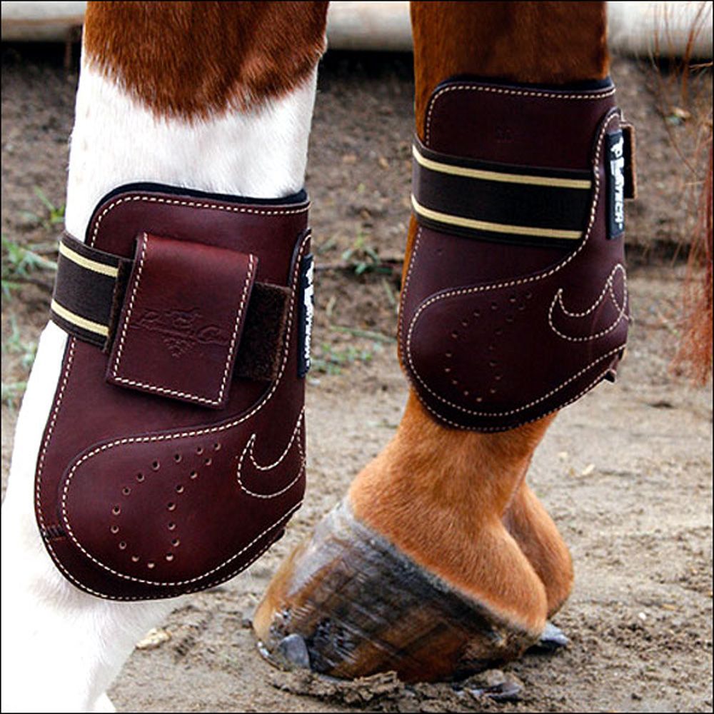 Saddles Tack Horse Supplies Professional's Choice