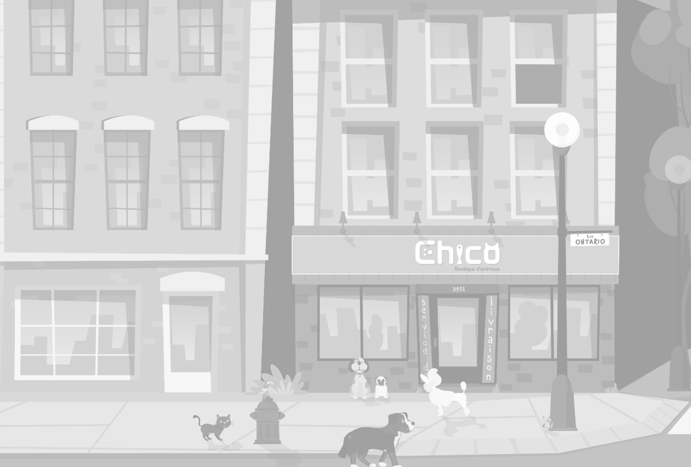 a franchisee for Chico Pet Store