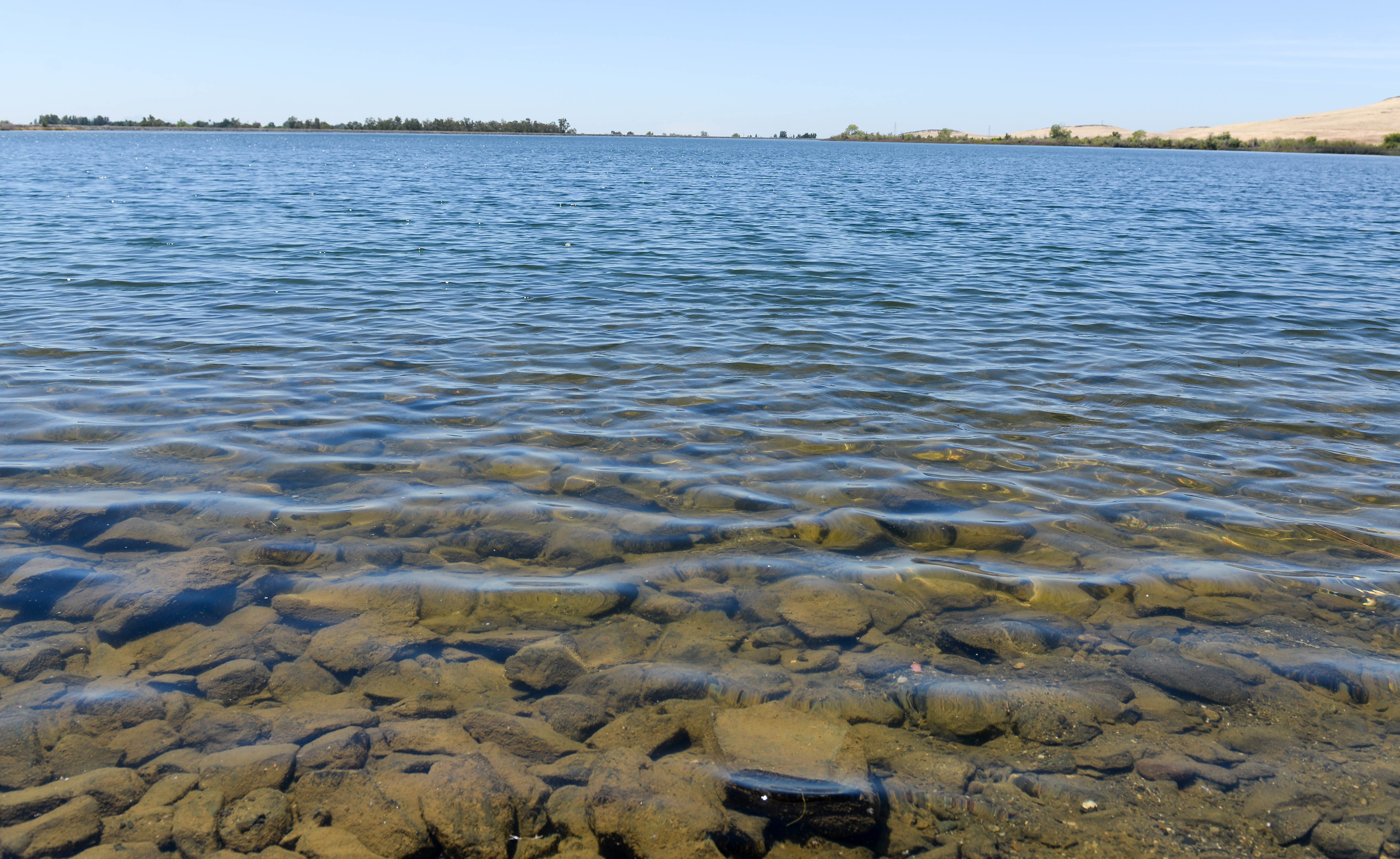 Quail Lake Ca Fishing Report 2019 All About Fishing