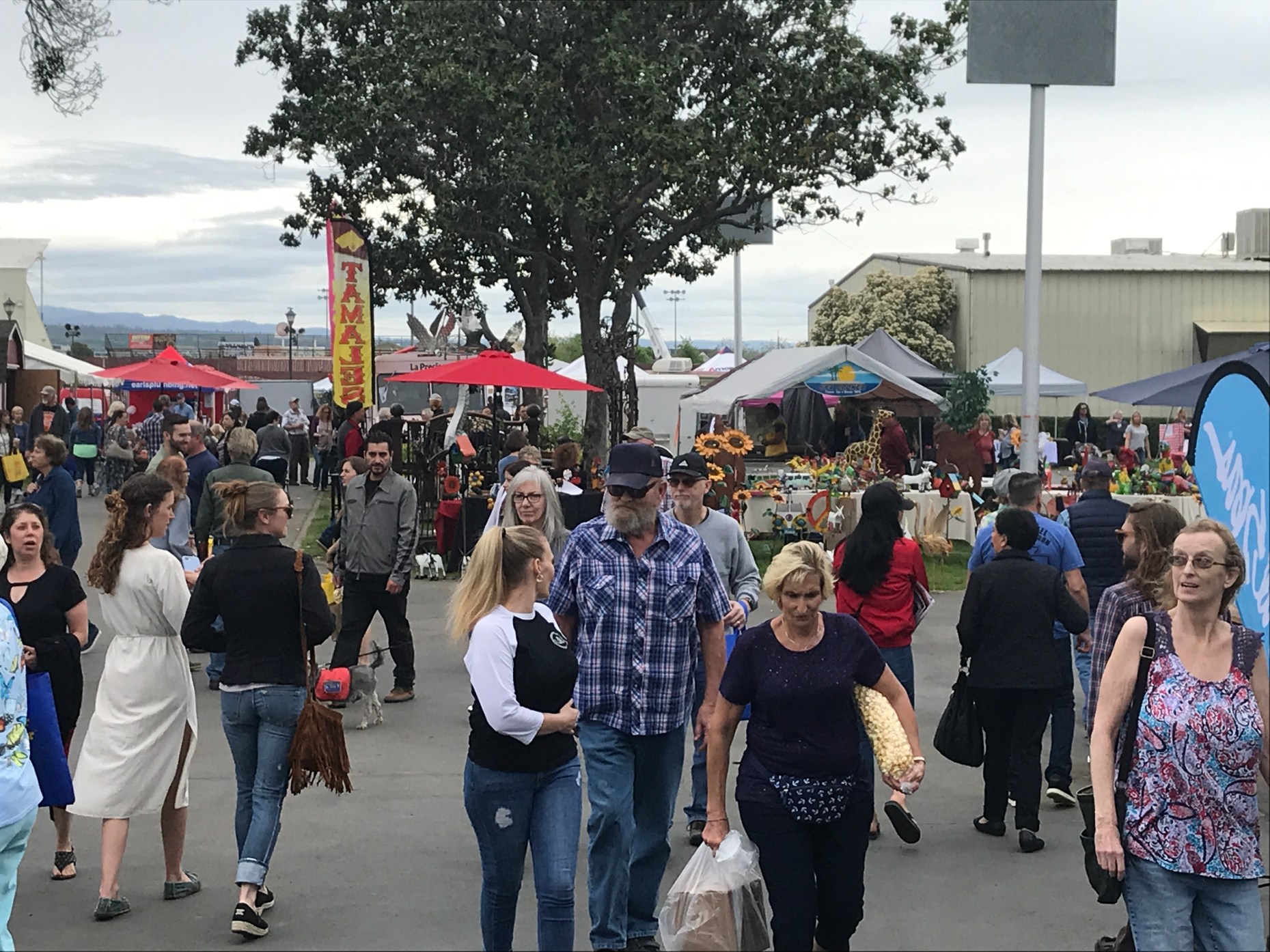 Chico Home and Garden Show biggest in 14 years Chico EnterpriseRecord