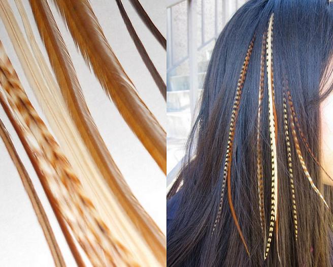 Feather Hair Extensions