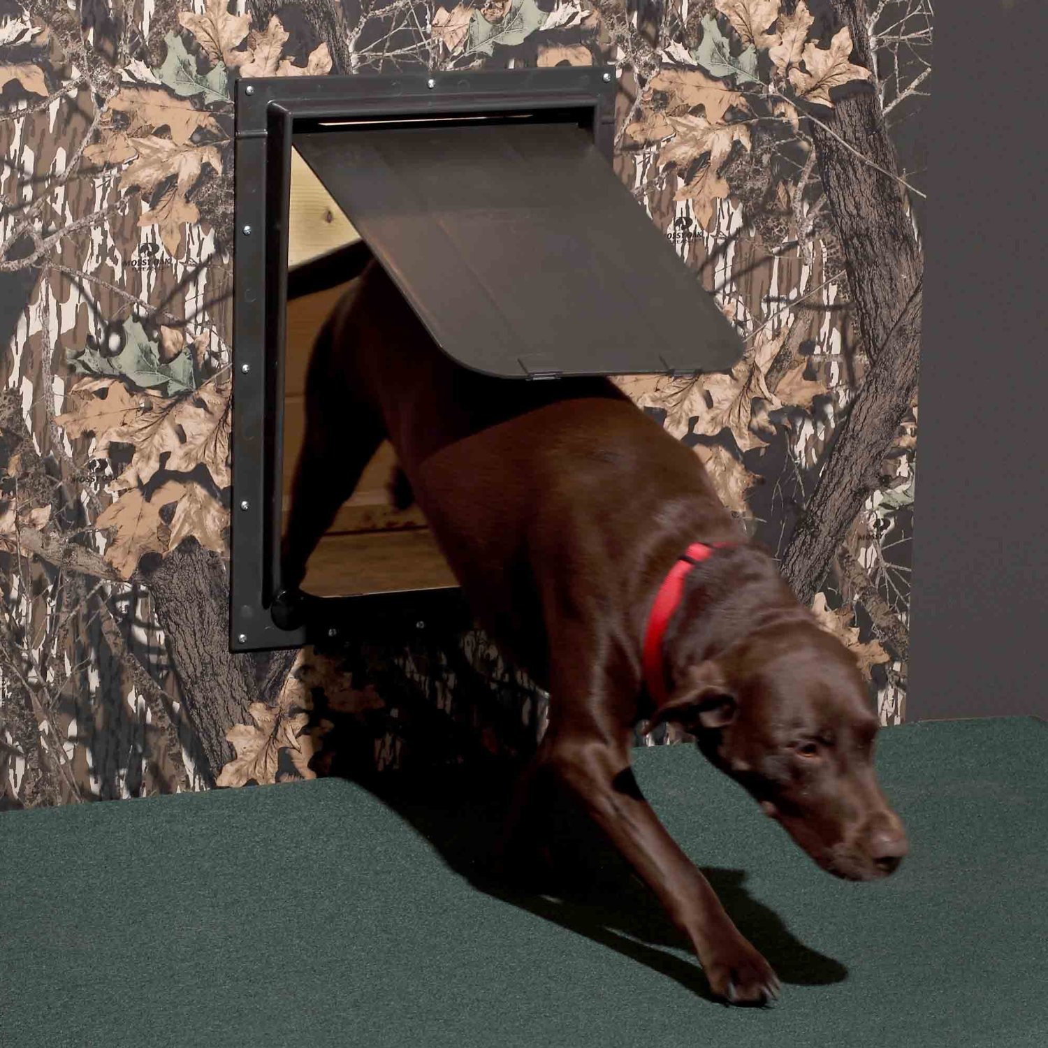 Magnador Kennel Dog Doors Chihuahua Kingdom