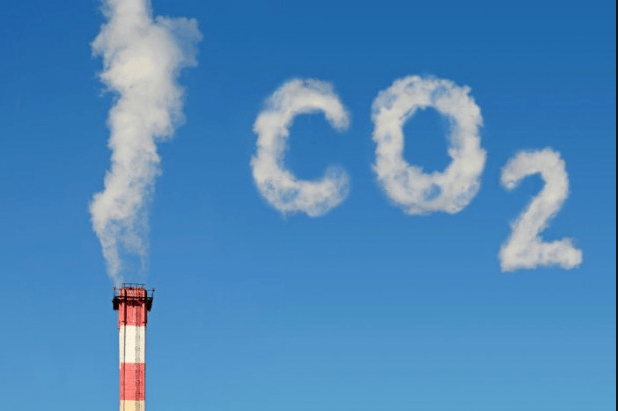 Essay On Carbon Dioxide Child Article