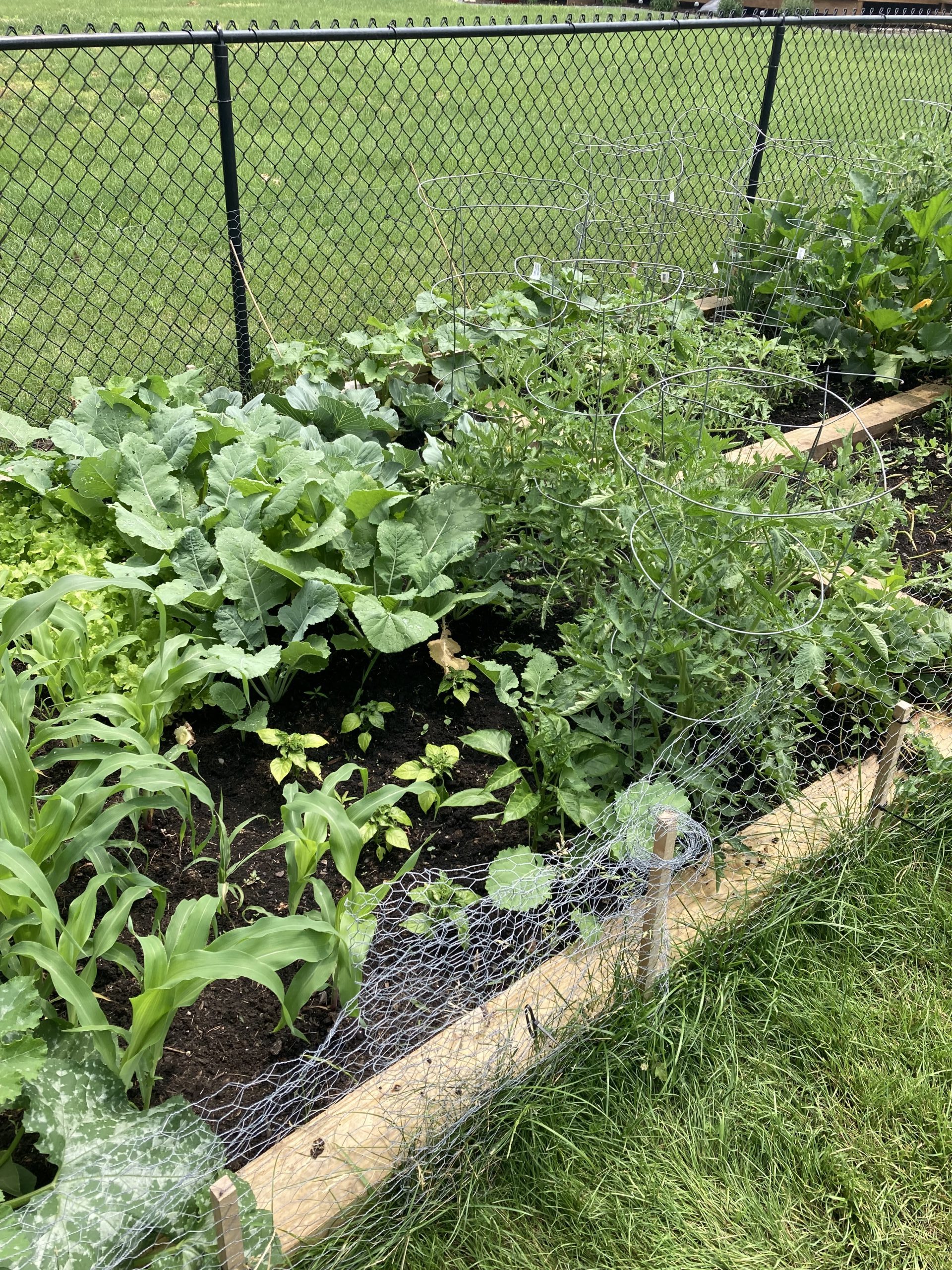 What's It Like To Live in a Group Home? ChildServe