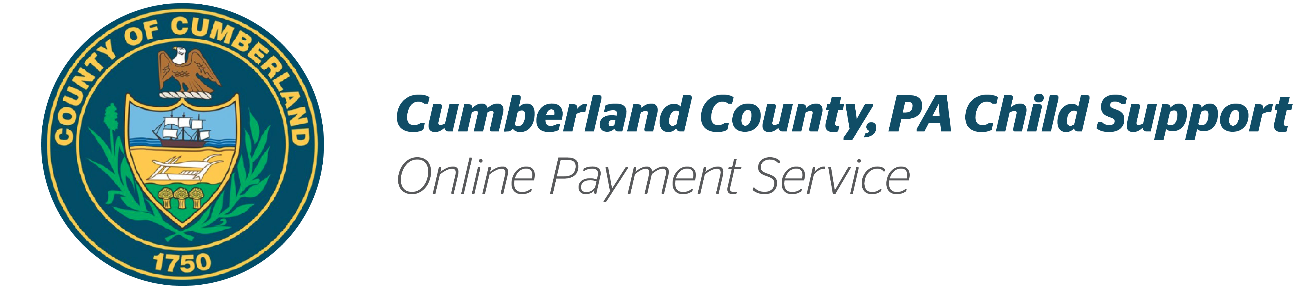 Online Payment Service by VPS