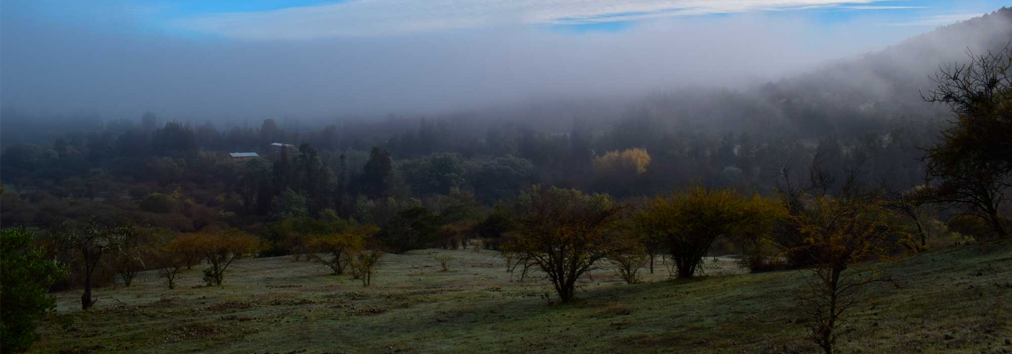 Real Estate in Chile Farms, Vineyards, Wineries for sale in Chile