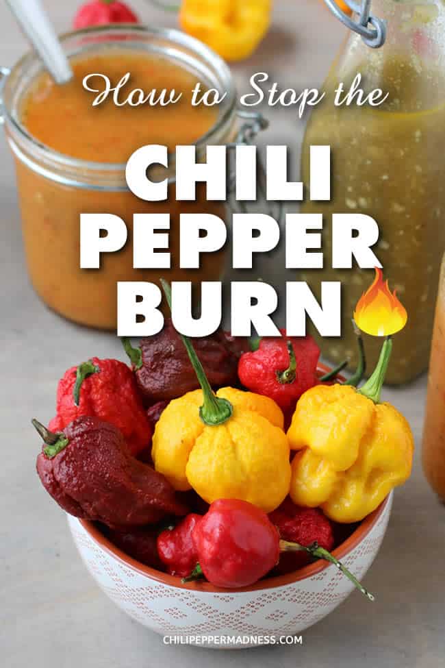 How Do You Stop the Chili Pepper Burn? Chili Pepper Madness