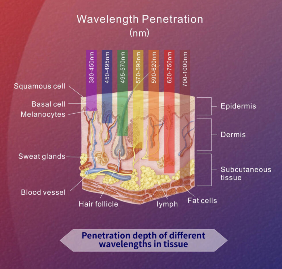Red Light Chili Pepper’s Tanning & Wellness Michigan's Fastest