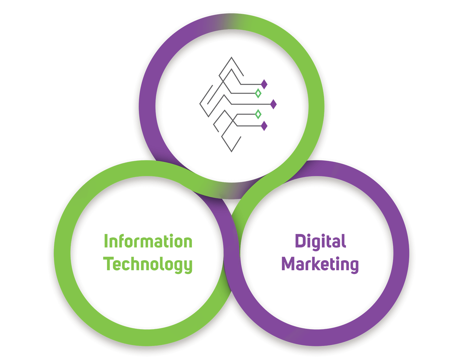 About Us Expert I.T. & Digital Marketing Solutions