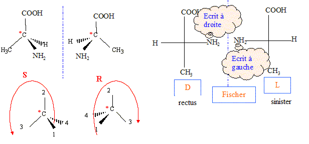 Aminoacide, hydrolyse d'un amide. Second concours, école