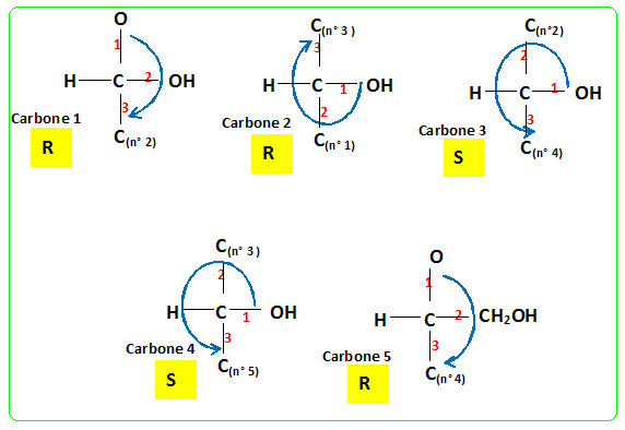 Glucose, stéréoisomères, inversion du saccharose, chimie