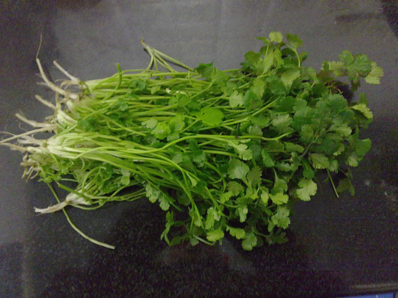 Chinese regional cuisine, Cantonese, Sichuan, Xian, Hunan, Shandong