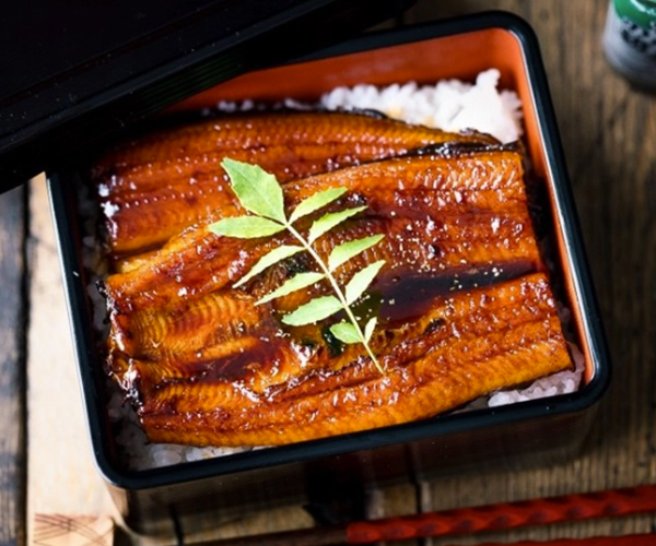 Italian fried or grilled eel recipe