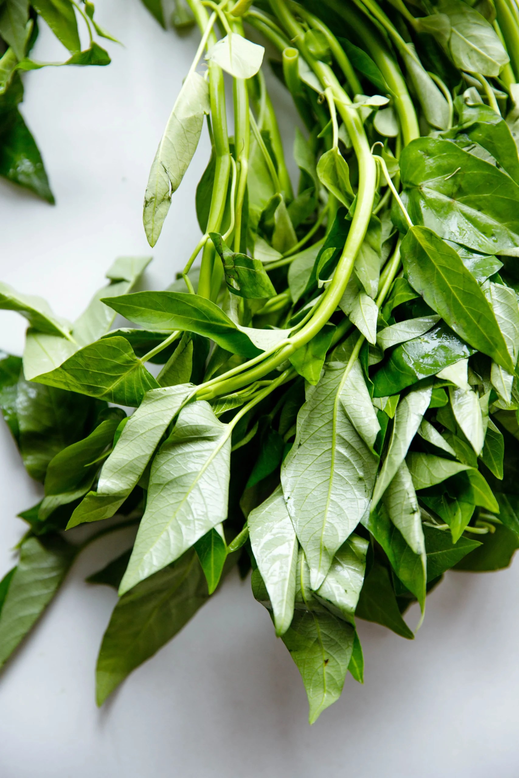 Water Spinach 101 and Stir Fry Recipe China Sichuan Food