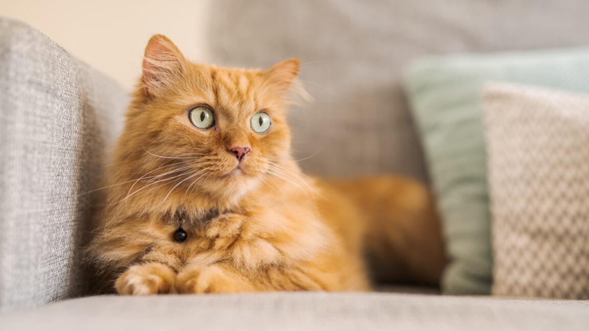 His Girlfriend Refuses To Clean Up After Herself, And Now He Doesn’t