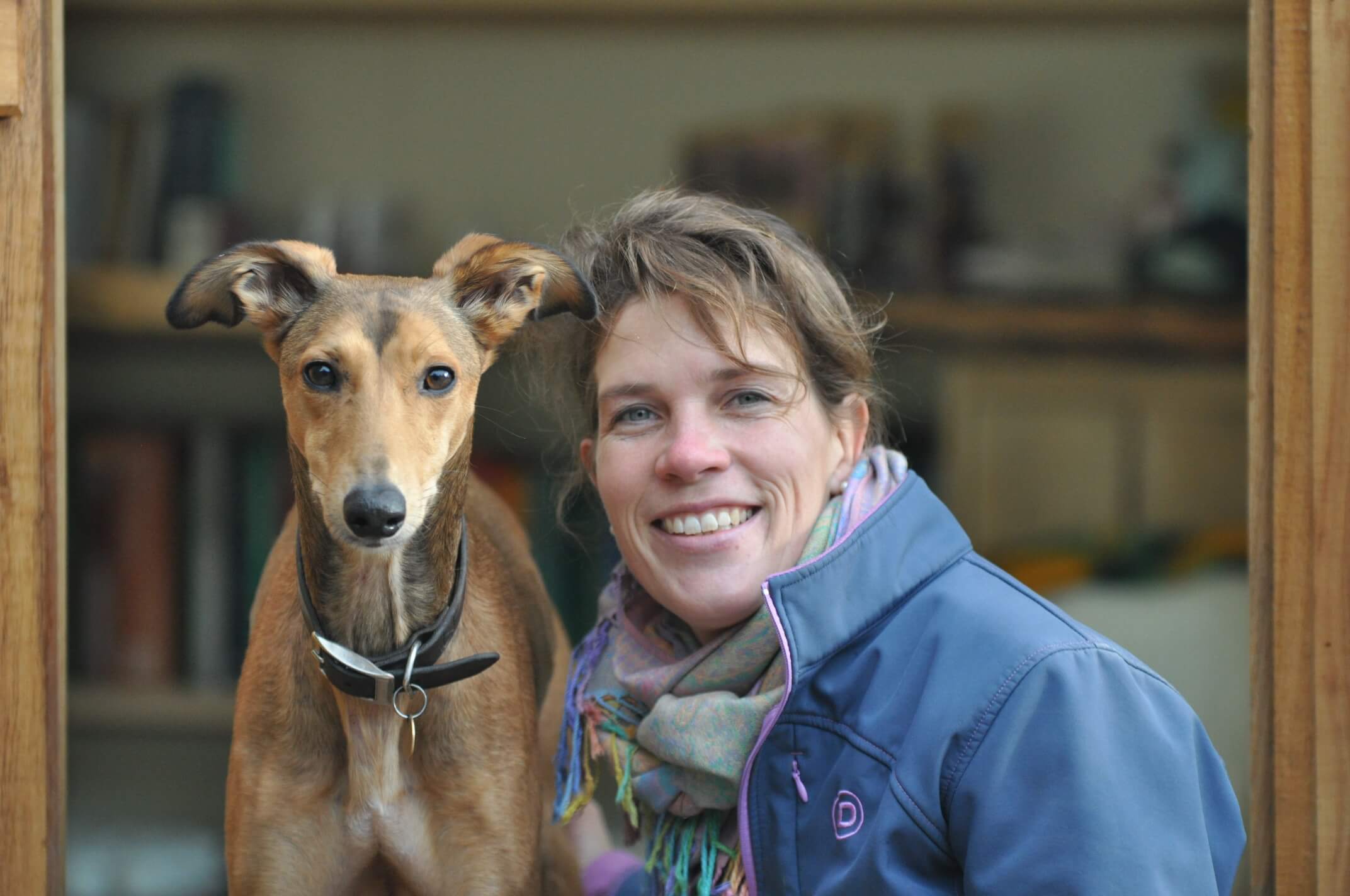 Does Acupuncture for Dogs Really Work? Chirovet Wales