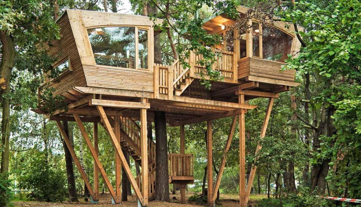 Consejos para construir una casa en el árbol ArchDaily México
