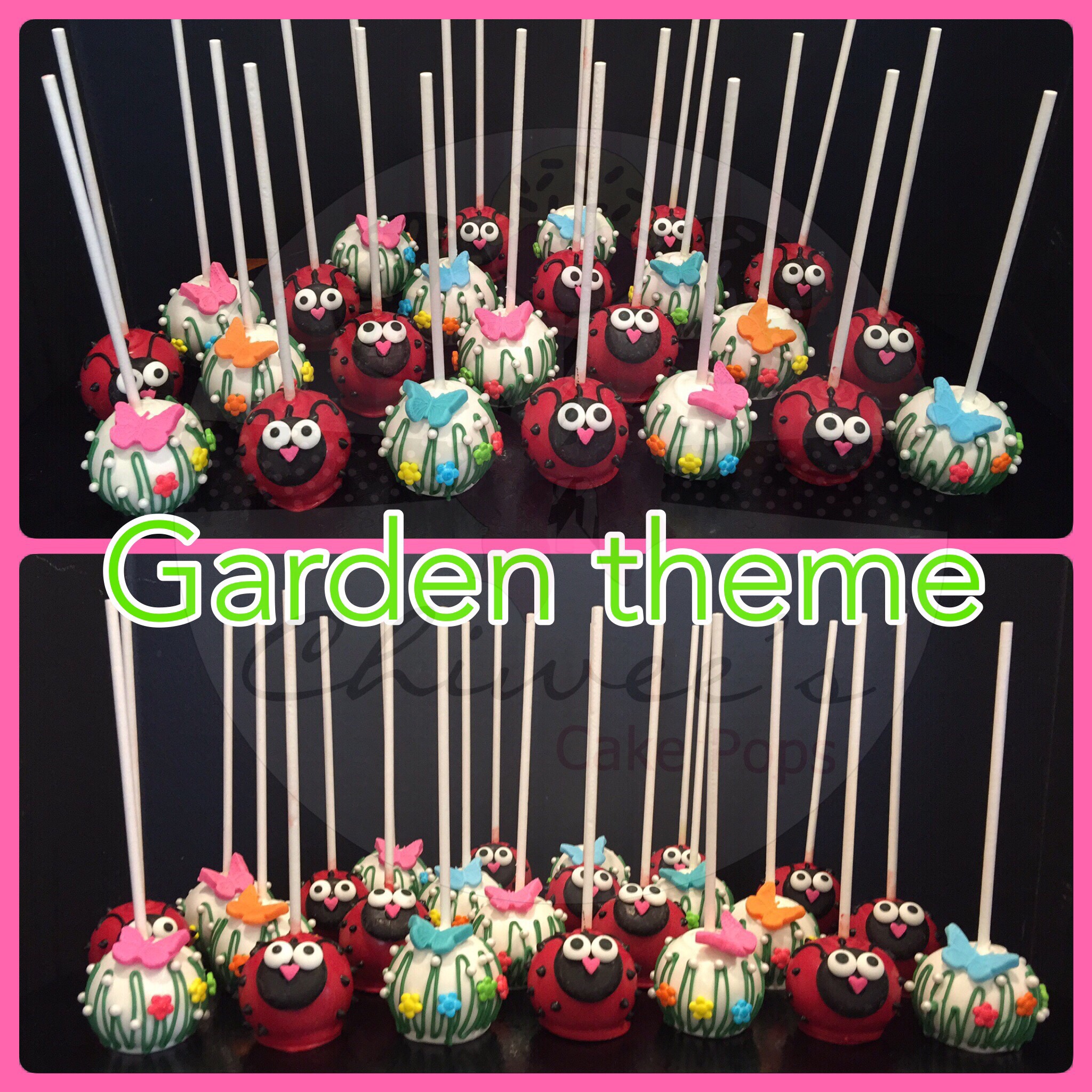 Chiwee's Cake Pops