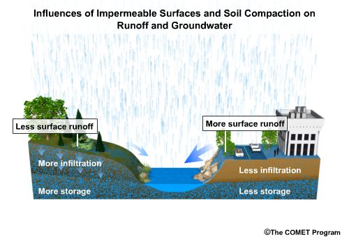 Runoff Processes: International Edition