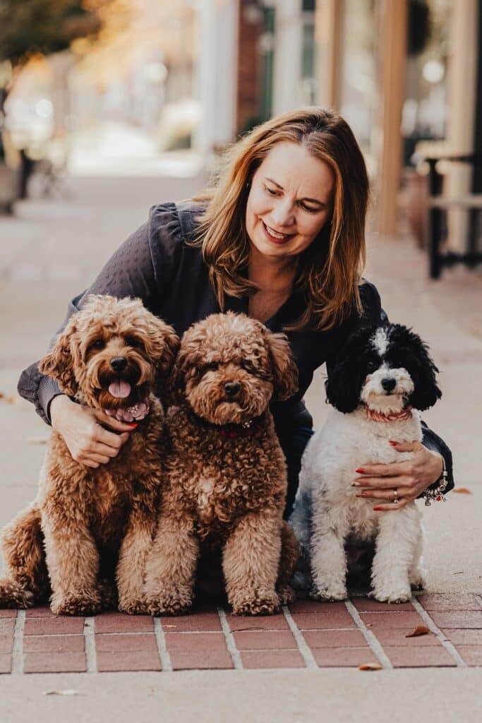 Houston Cavapoo Breeder Choice Paws Premier Cavapoo Puppies