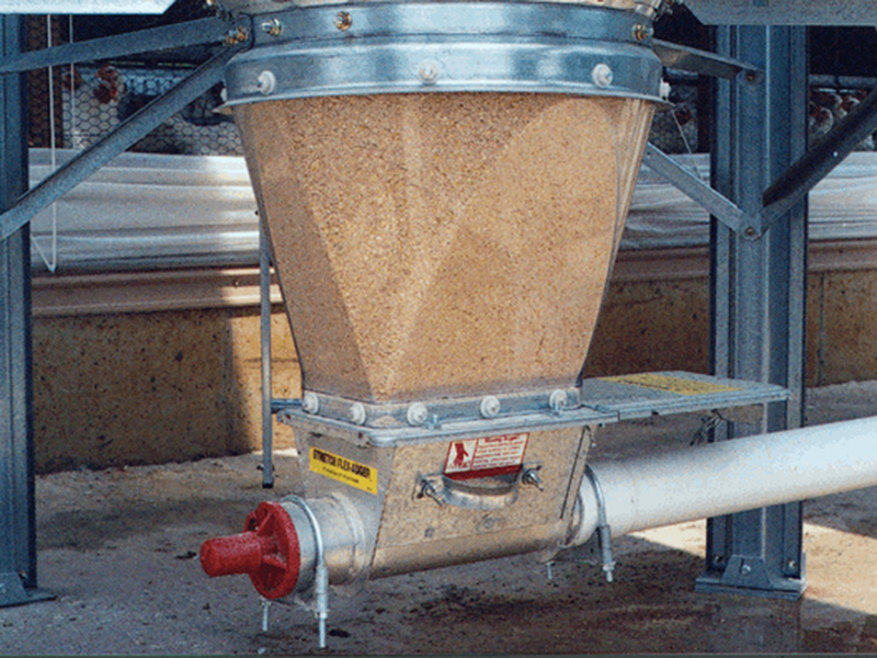 Transparent Bin Transitions for Turkeys ChoreTime