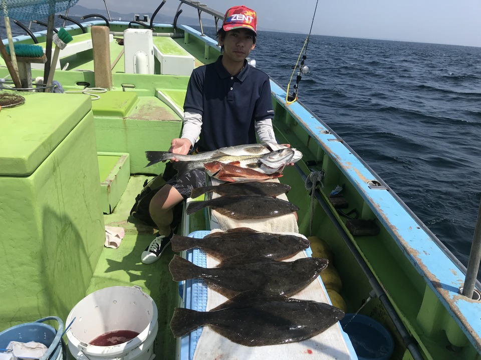マダコの釣果｜2018年5月27日｜五エム丸（神奈川県/葉山芝崎港）｜釣割
