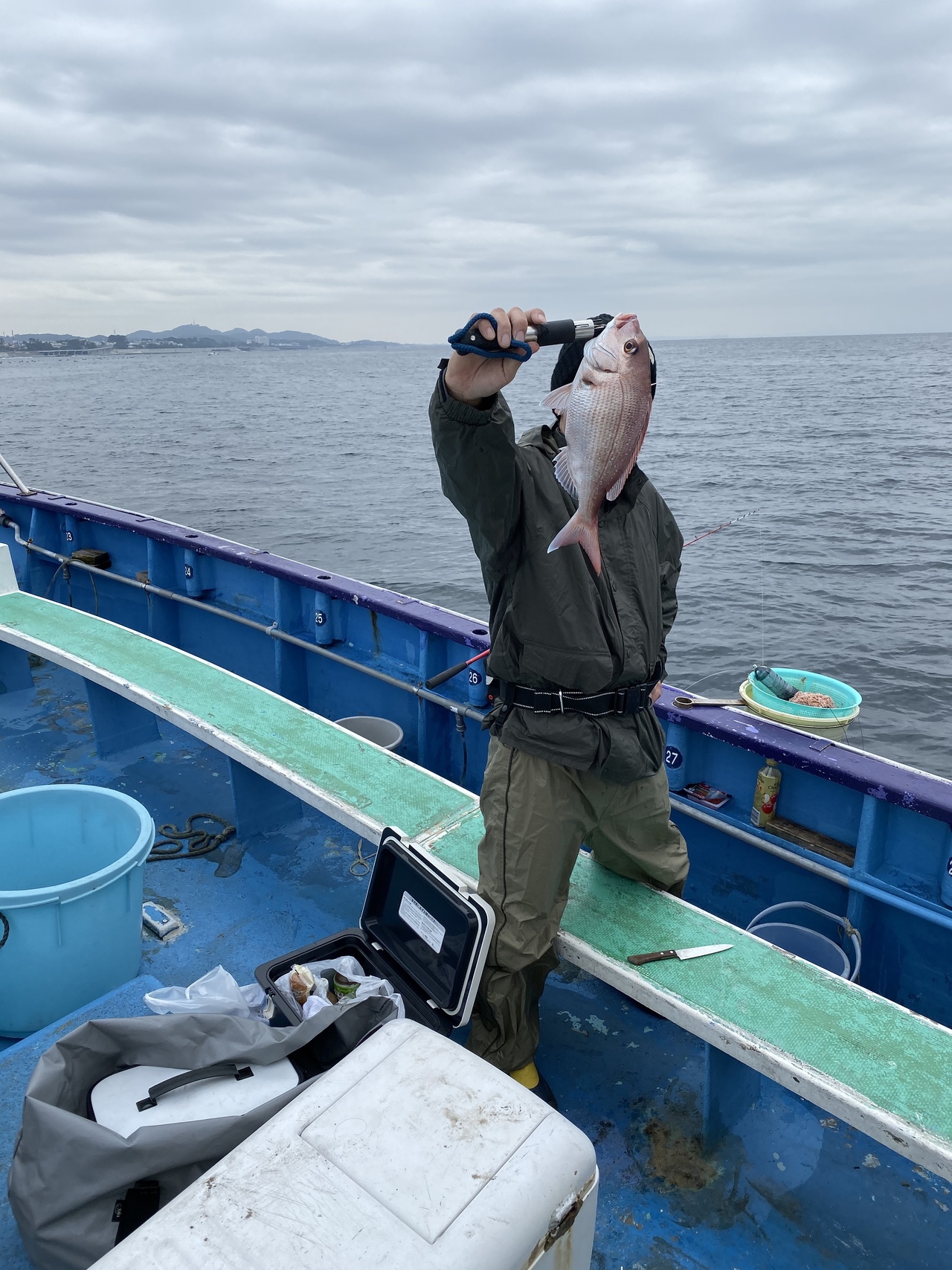 ワラサの釣果｜2019年11月3日｜登喜丸（神奈川県/平塚港）｜釣割