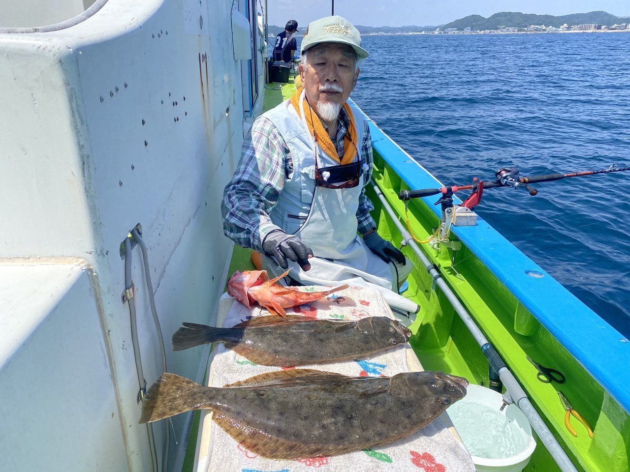 マダコの釣果｜2020年6月8日｜五エム丸（神奈川県/葉山芝崎港）｜釣割