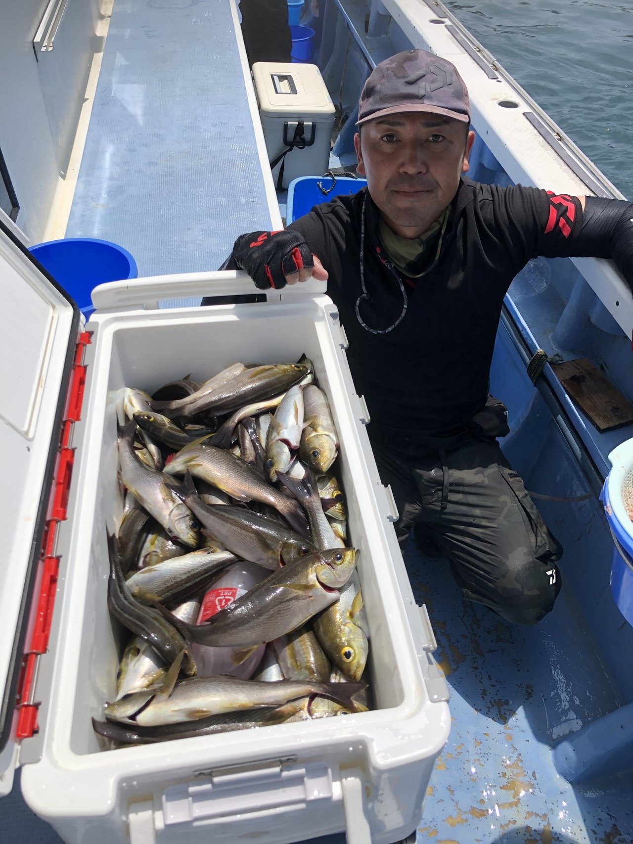 イサキの釣果｜2020年8月6日｜早川丸（千葉県/洲崎栄ノ浦港）｜釣割