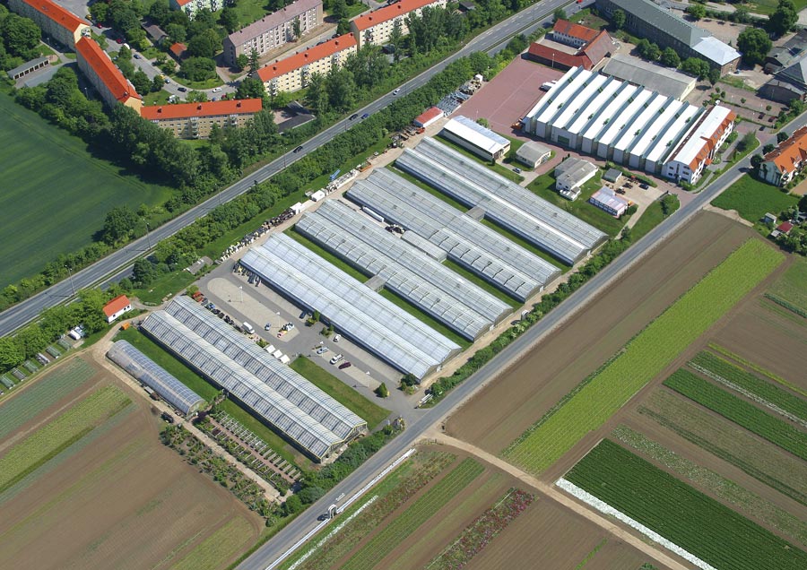 Gartenversand » Samen » Pflanzen N.L.Chrestensen