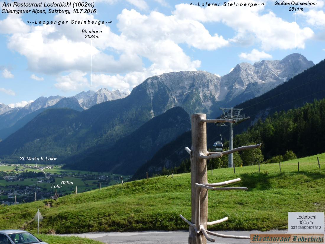 Gföllhörndl, 1628m (Chiemgauer Alpen, Salzburg)