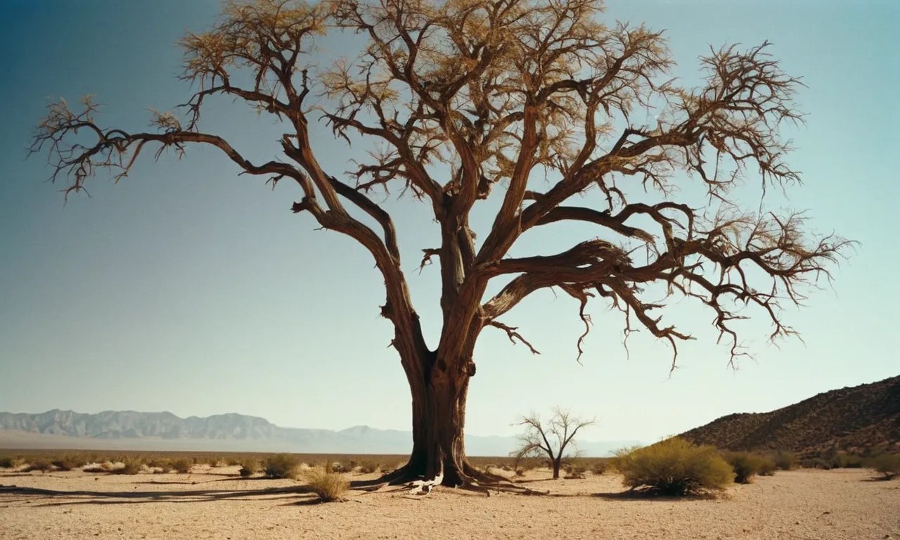 What Does 'Dry Bones' Mean In The Bible? Christian site