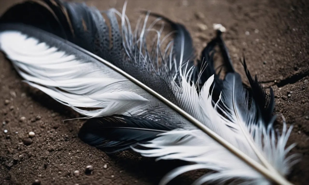 Black Mixed With Grey And White Feather Meaning A Comprehensive Guide