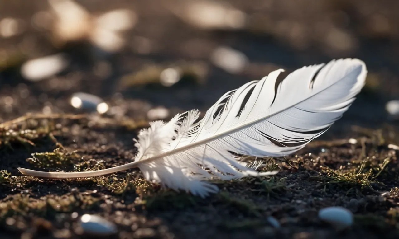 Gray And White Feather Meaning Unlocking The Symbolism Christian site