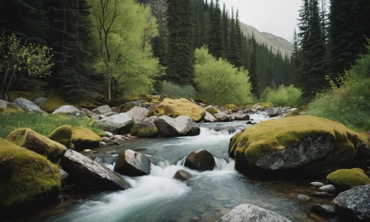 Mattea Meaning Exploring The Significance Of This Intriguing Name