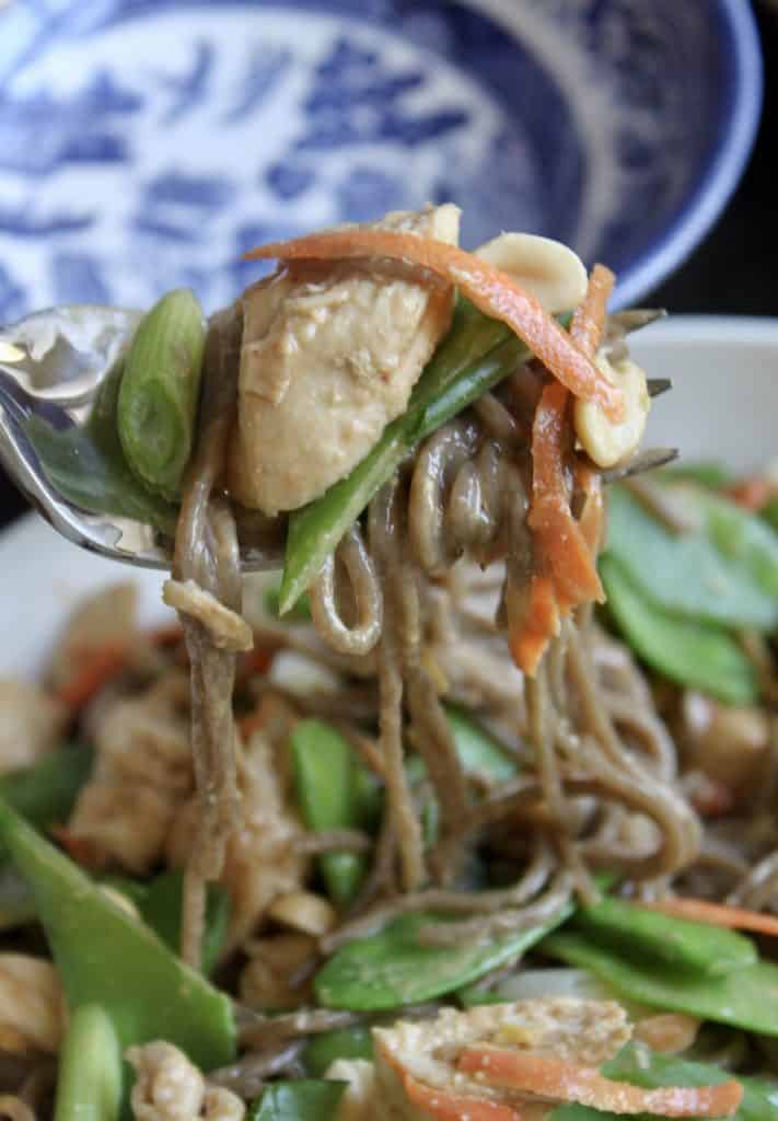 Spicy Soba Noodles with Chicken and Peanut Sauce Christina's Cucina