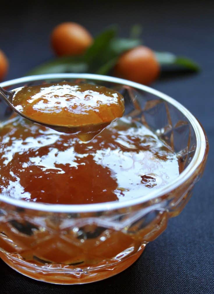 Easy Kumquat Jam Recipe (No Pectin Added and AwardWinning