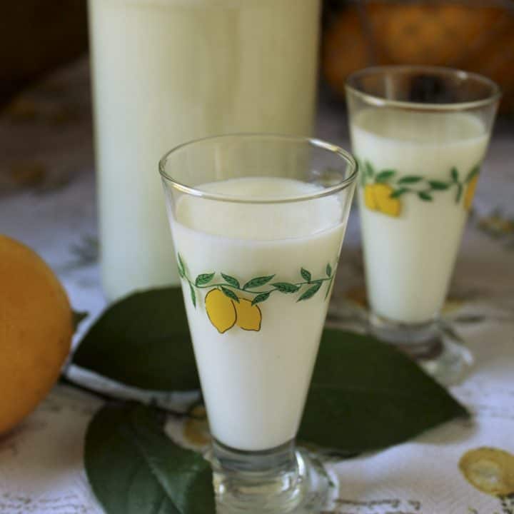 24 Hour Easy Limoncello Recipe Best Homemade Crema di Limoncello