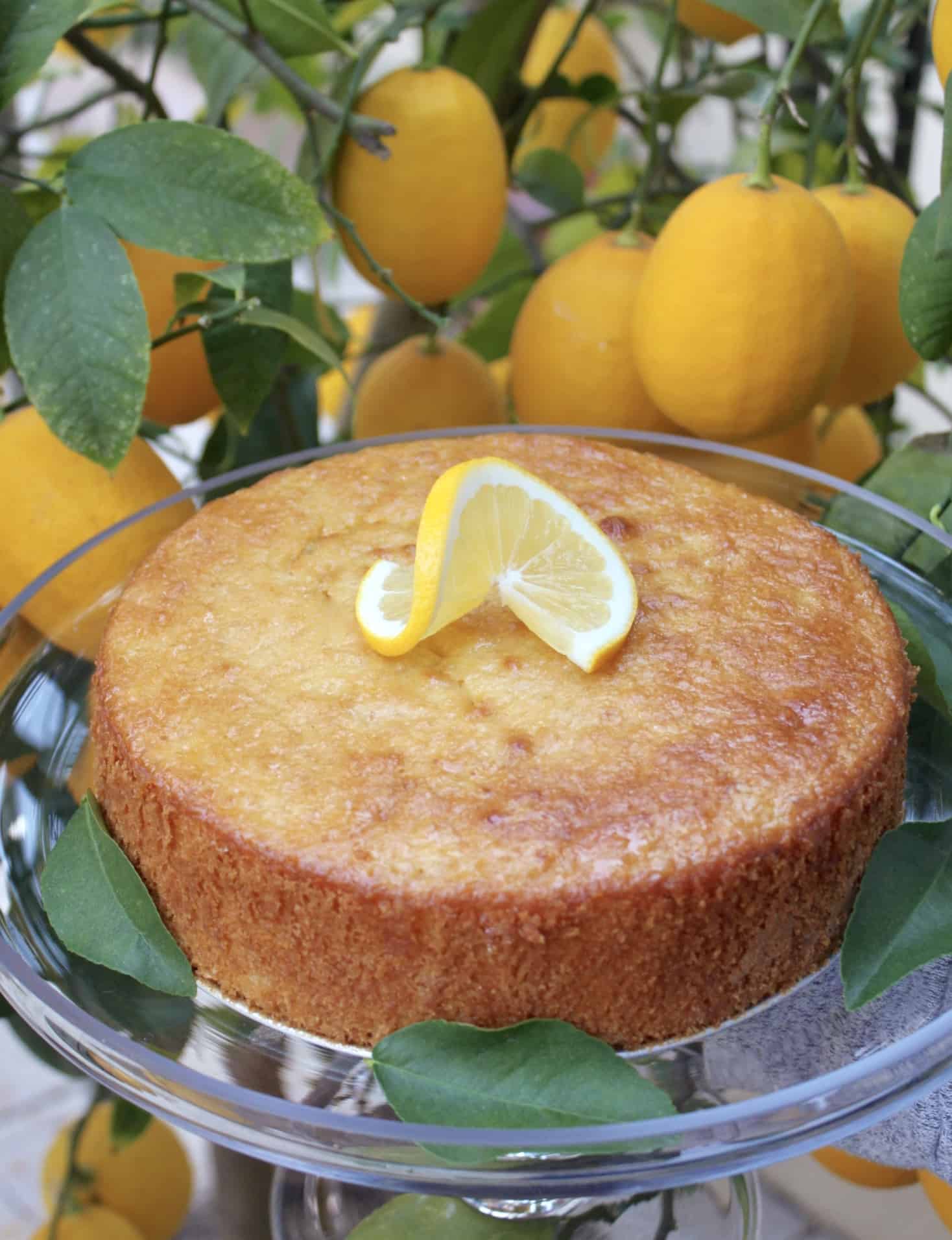 Sicilian Whole Lemon Cake (Using an Entire Lemon Peel, Juice and Pulp) Christina's Cucina
