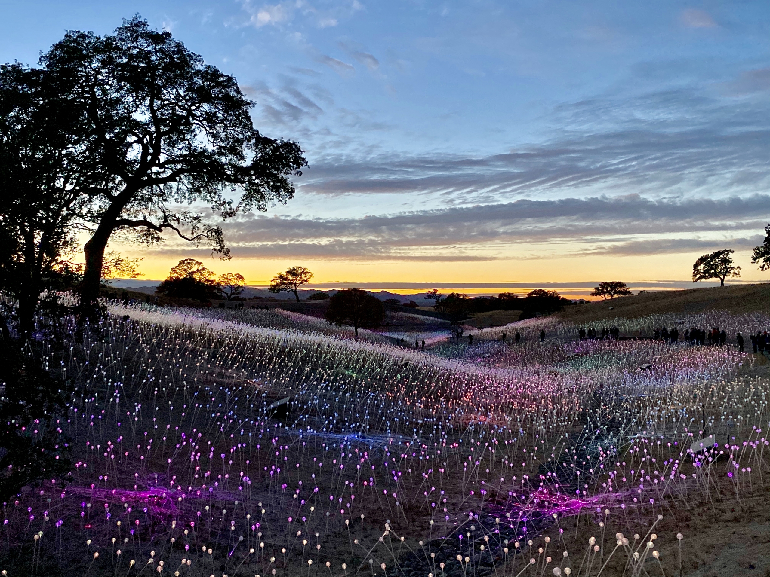 Sensorio Paso Robles Why you Should Visit Christina's Cucina