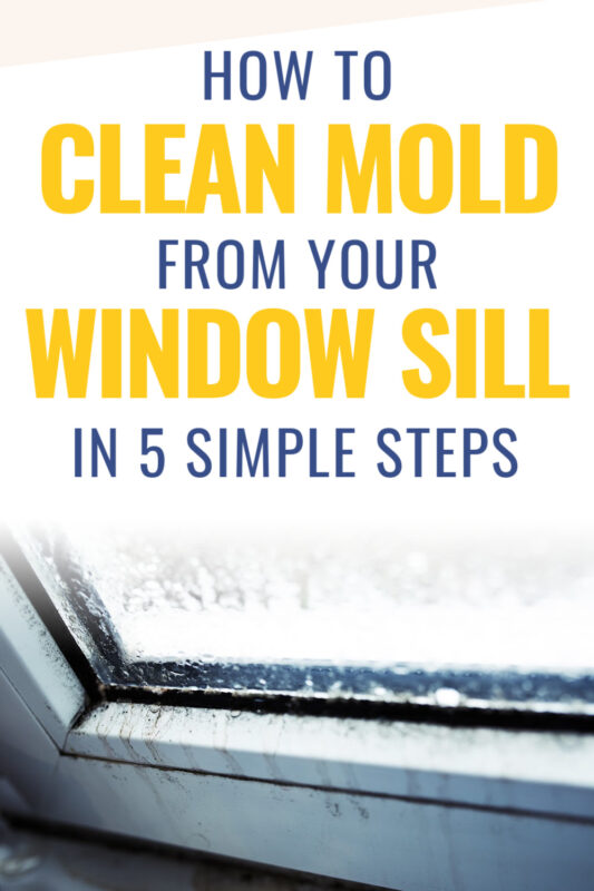 How to Clean Mold from Window Sill in 5 Easy Steps