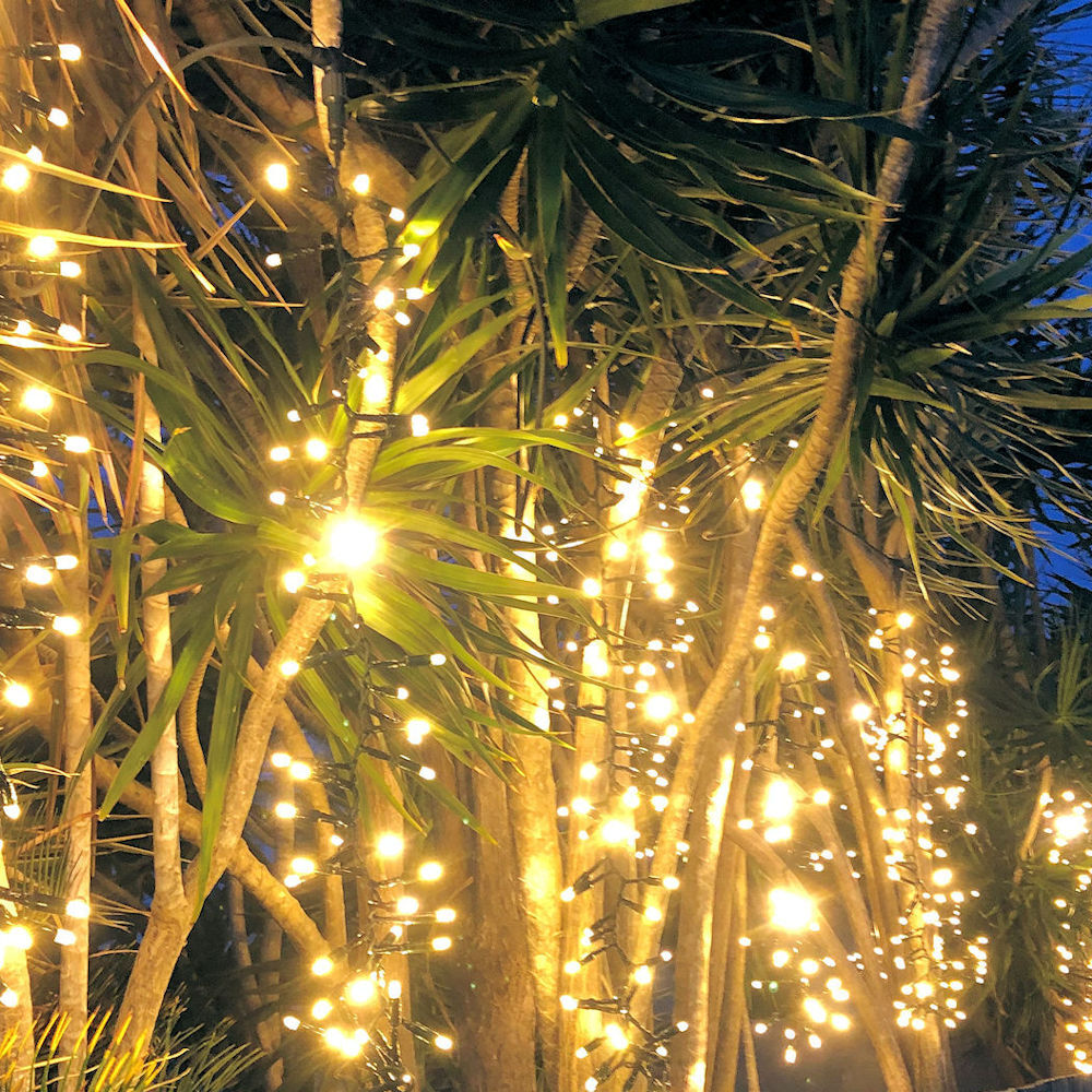 Firecracker lights warm white 10 meters Available Christmas Complete