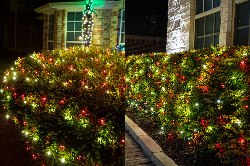 String Of Real Christmas Lights