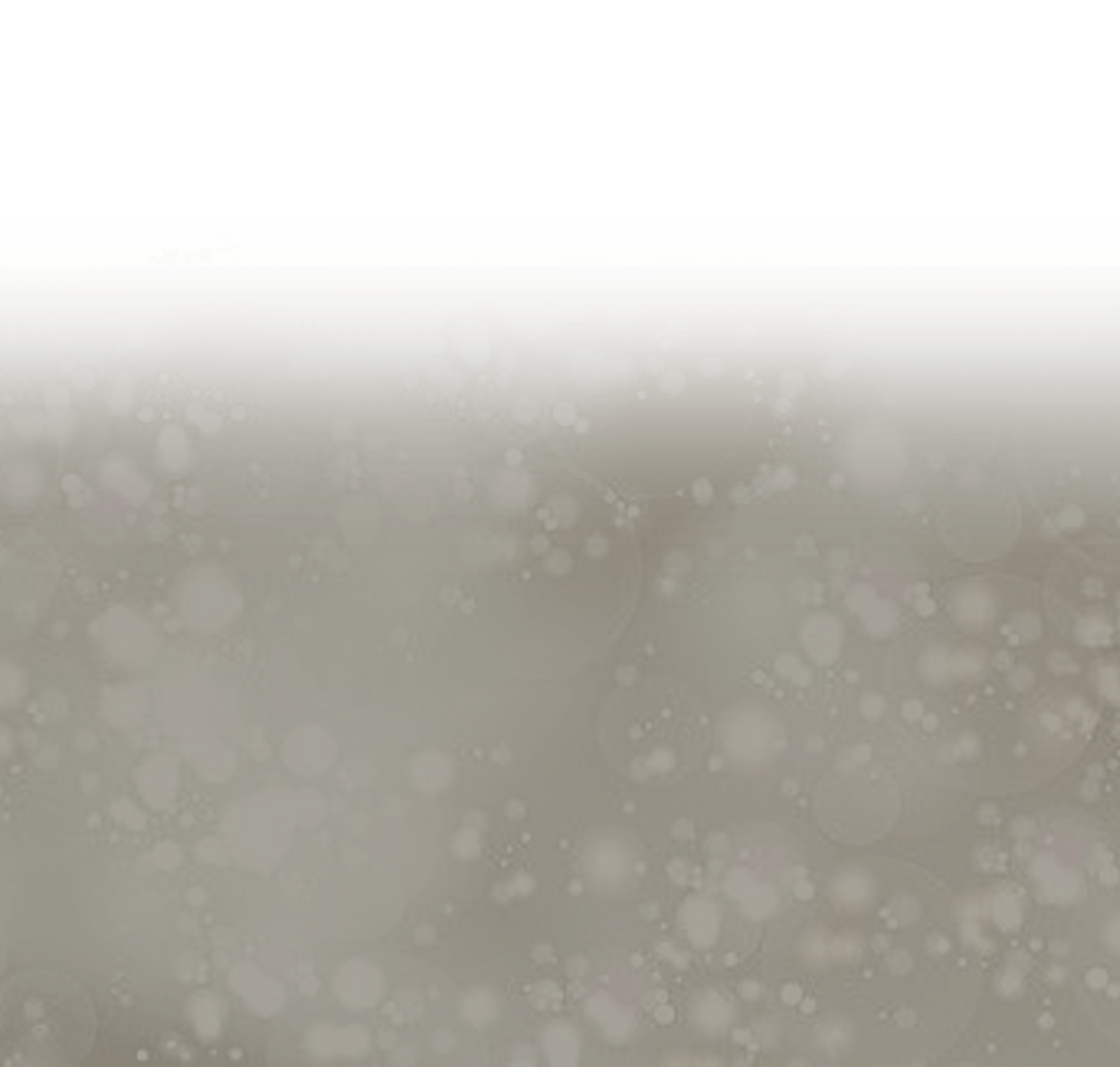 Christmas In November Christmas In November