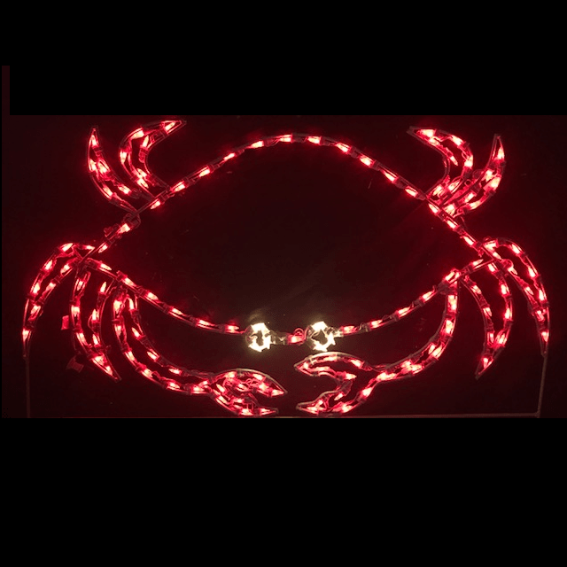 has Christmas Lights, Christmas Decorations and